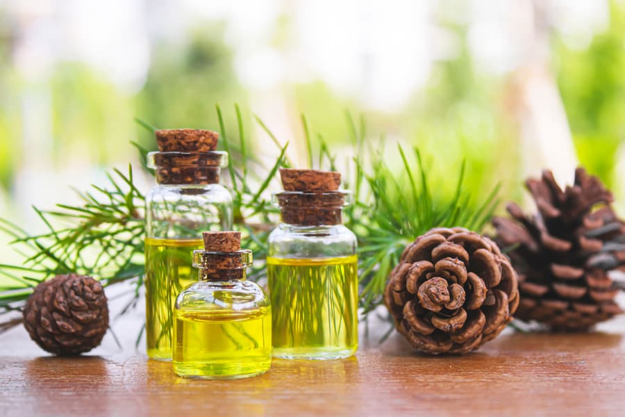 Use Pine Essential Oil