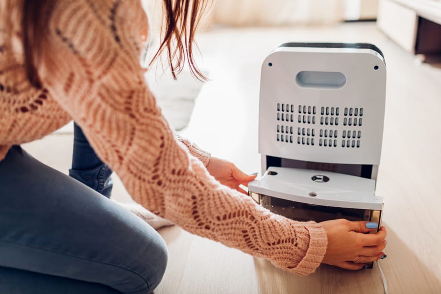 Using Dehumidifier