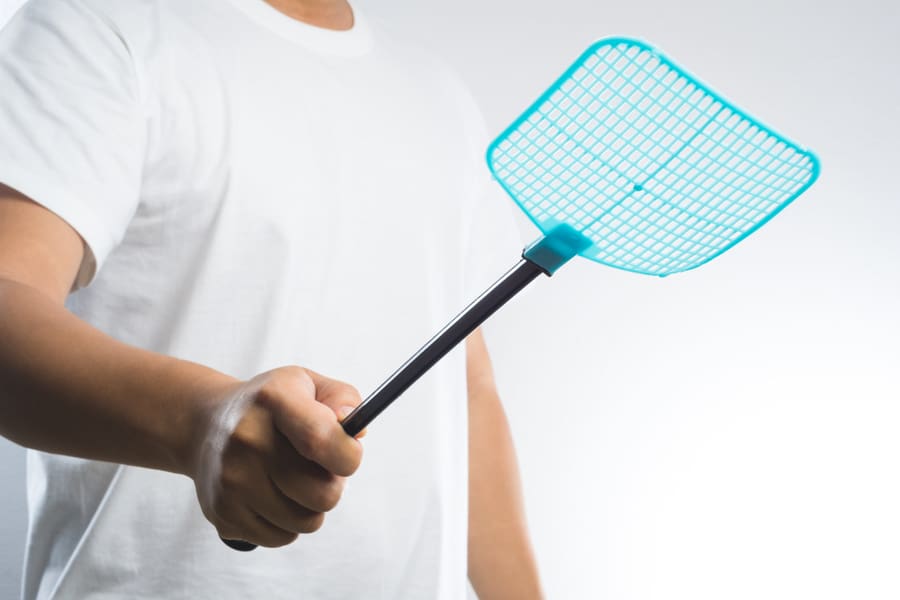 Using Fly Swatter