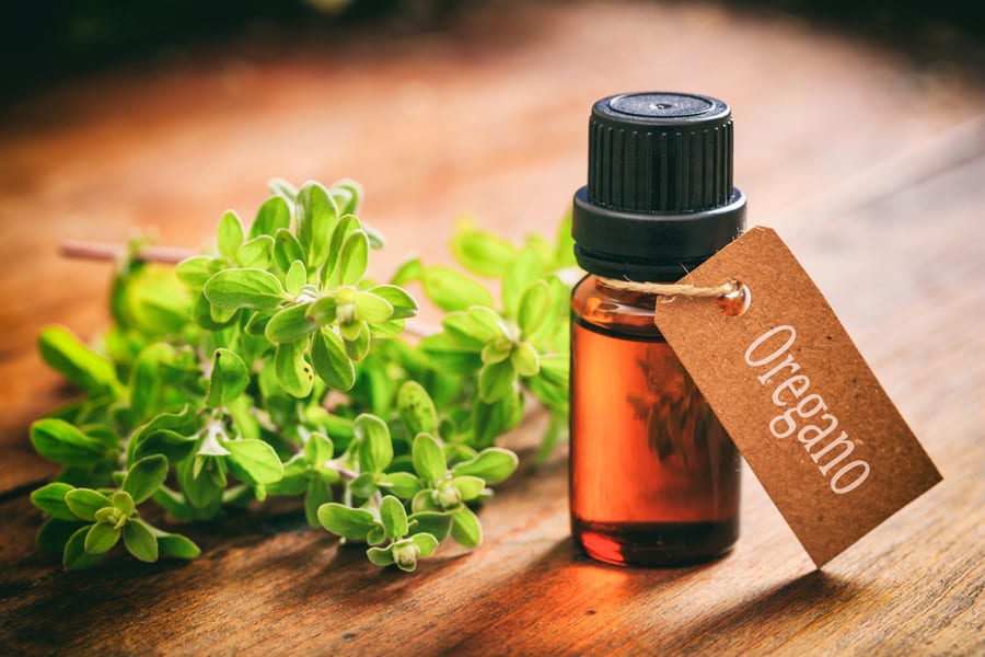 Utilizing Oregano Oil