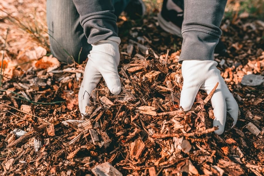 Ways To Get Rid Of Roaches In Mulch