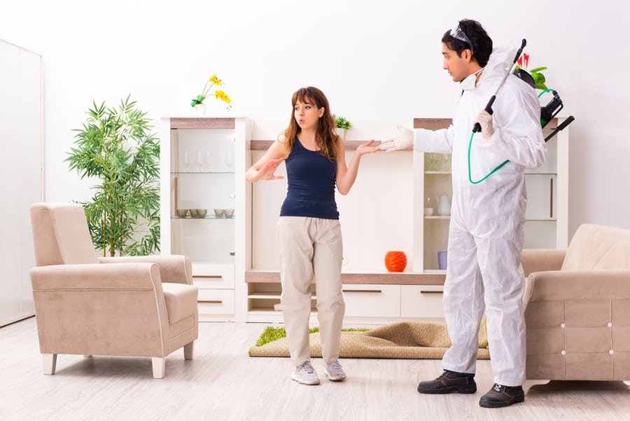 What To Do When An Exterminator Visits Your Home