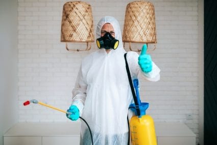 What To Expect When An Exterminator Comes