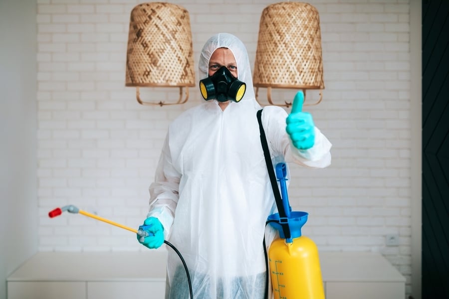 What To Expect When An Exterminator Comes