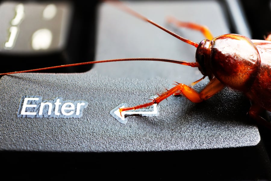 Why Roaches Are Attracted To Your Laptop