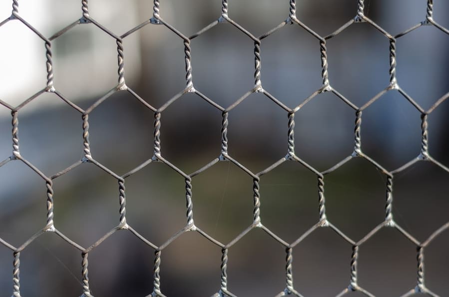 Wire Mesh Fencing