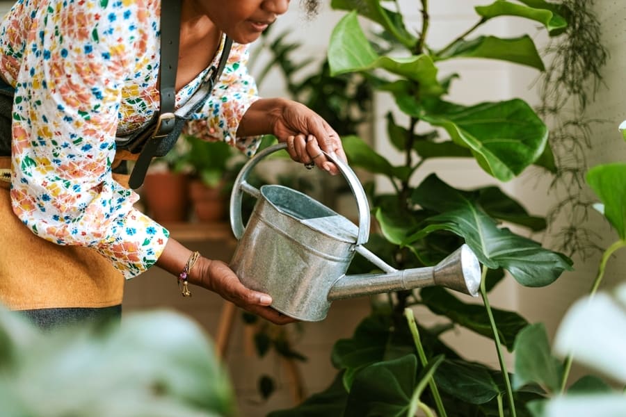 Woman Watering Plant
