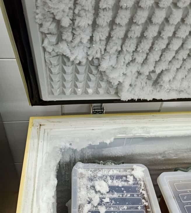 How To Get Roaches Out of Deep Freezer BeatPests