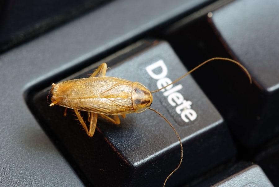 A German Roach On The Keyboard