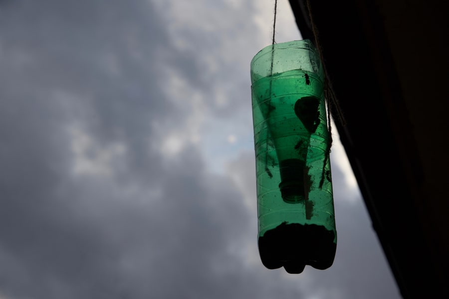 A Homemade Wasp Trap Made From A Plastic Bottle