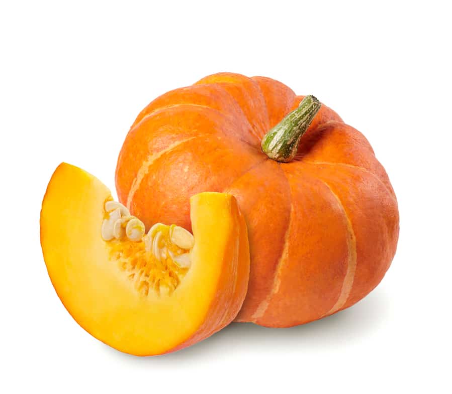 A Pumpkin's Anatomy Defined