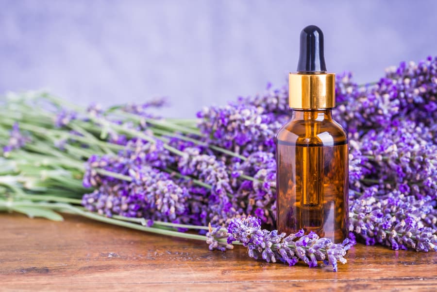 Apply Essential Oils (Lavender Oil)
