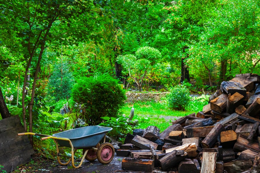 Avoid Placing Woodpiles Near Your Yard