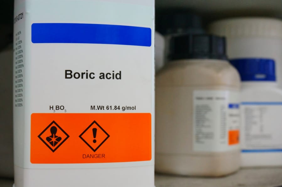 Boric Acid Or Diatomaceous Earth
