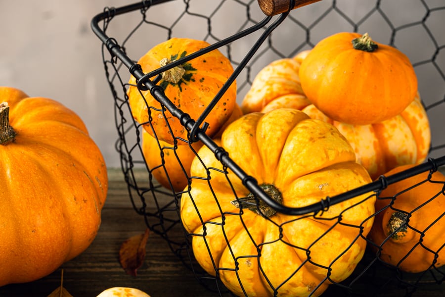 Building Pumpkin Cages