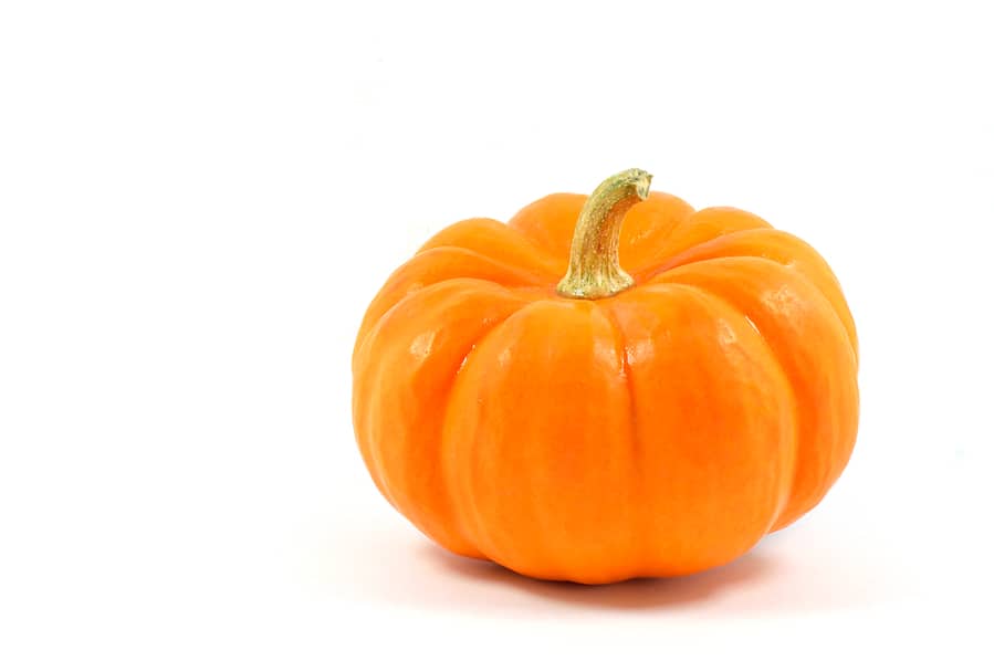 Choose A Firm And Fresh Pumpkin