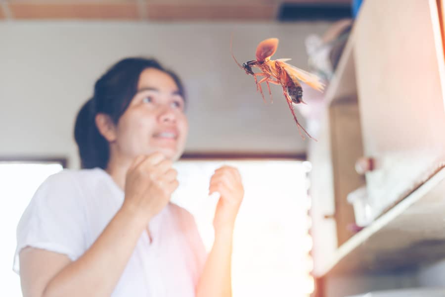 Cockroache Are Flying Toward Women