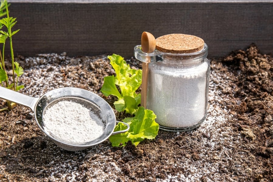 Diatomaceous Earth Powder In Jar For Non-Toxic Organic Insect Repellent