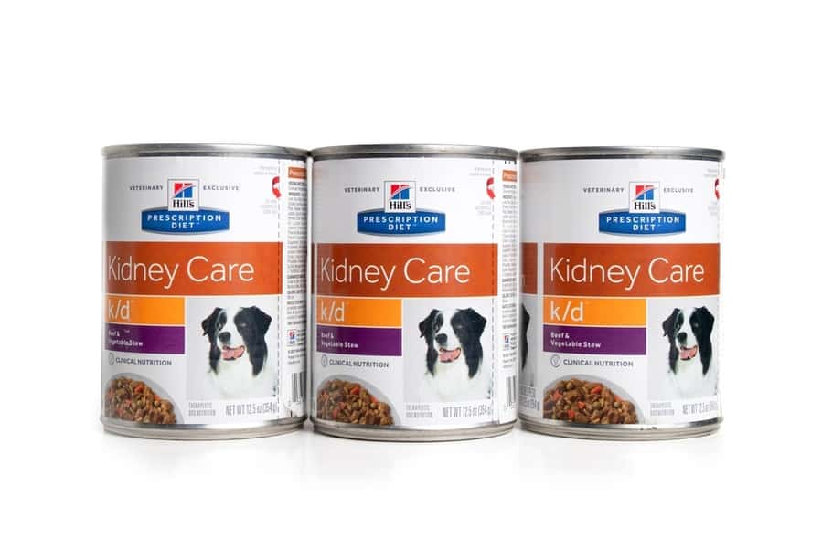 Dog’s Food In Sealed Containers