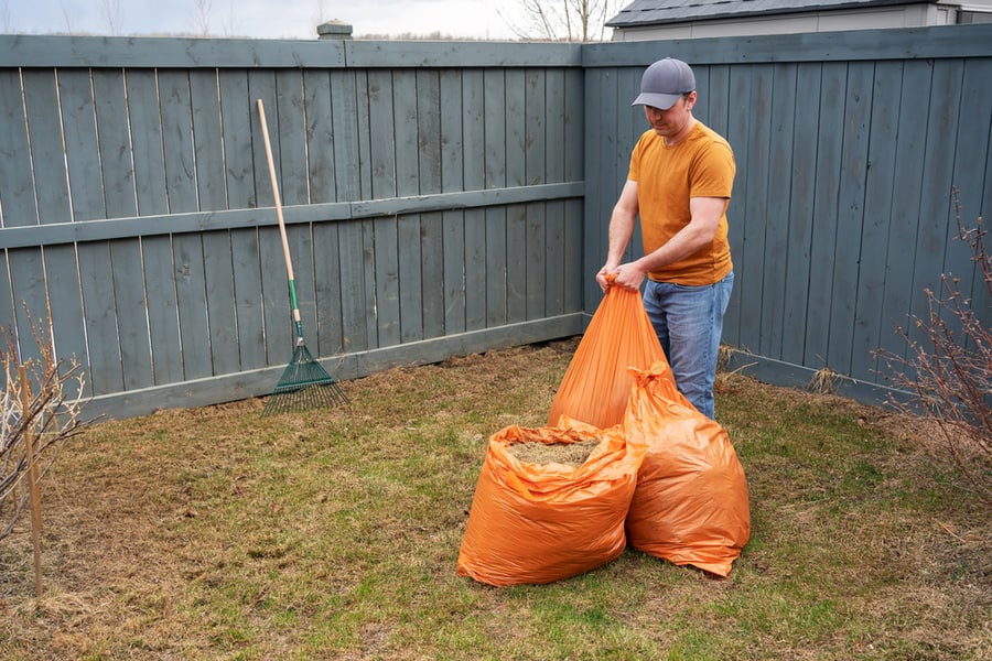 Early Spring Backyard Cleaning.