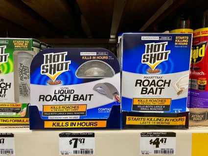 Hotshot Brand Of Roach Bait With Liquid Inside Special Plastic Housing