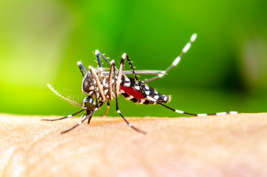 How To Keep Bugs Out Of Sliding Glass Door