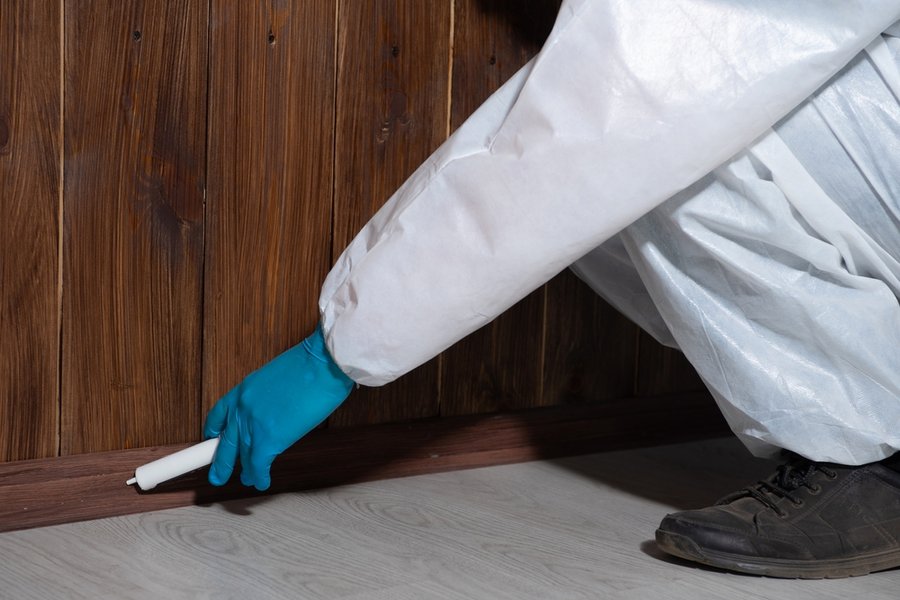 How To Treat Termite-Infested Wood