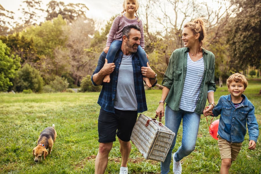 Intentionally Avoid Bee-Infested Areas (Picnic)