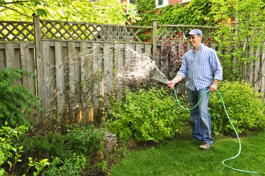 Maintain A Neat Yard