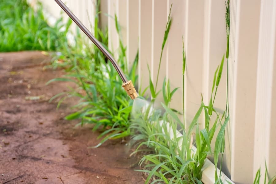 Maintain Grass And Weeds