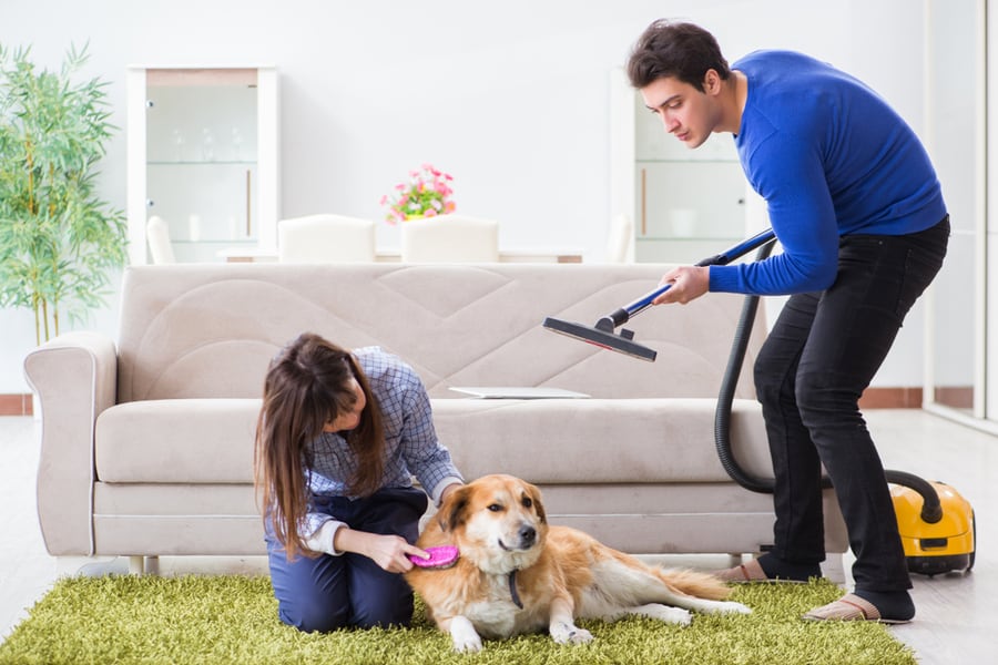 Man Vacuuming The Carpet