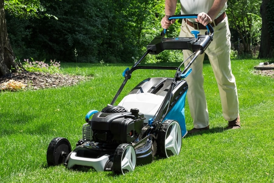 Mow And Fumigate Your Lawn