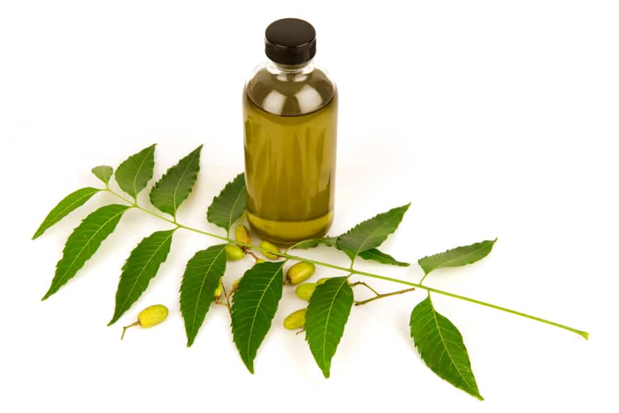 Neem Oil