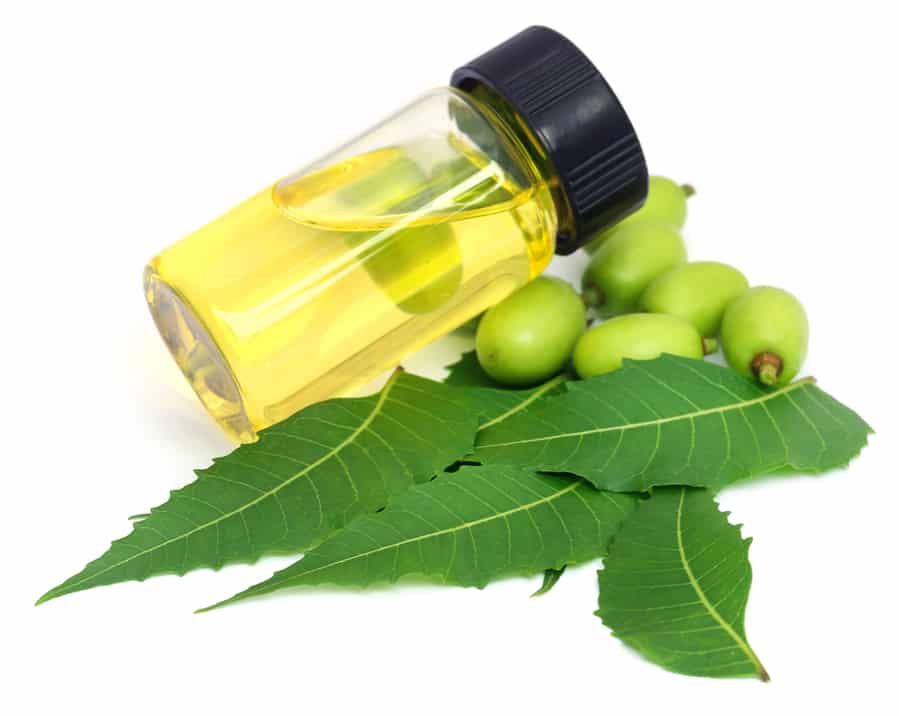 Neem Oil