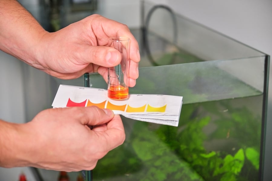 Neglecting To Monitor Water Quality Neglecting To Monitor Water Quality