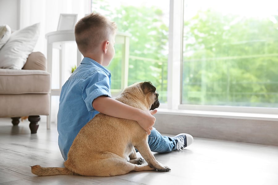 Pets And Children Must Be Kept Away From Treated Areas