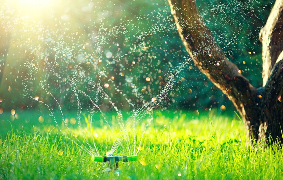 Plain Old Water Plain Old Water