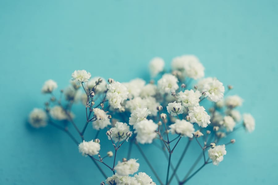 Plant Flowers That Have Subtle Blossoms