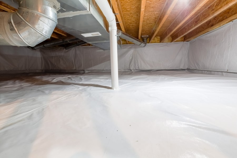 Protect Your Crawl Space From Animal Invasion
