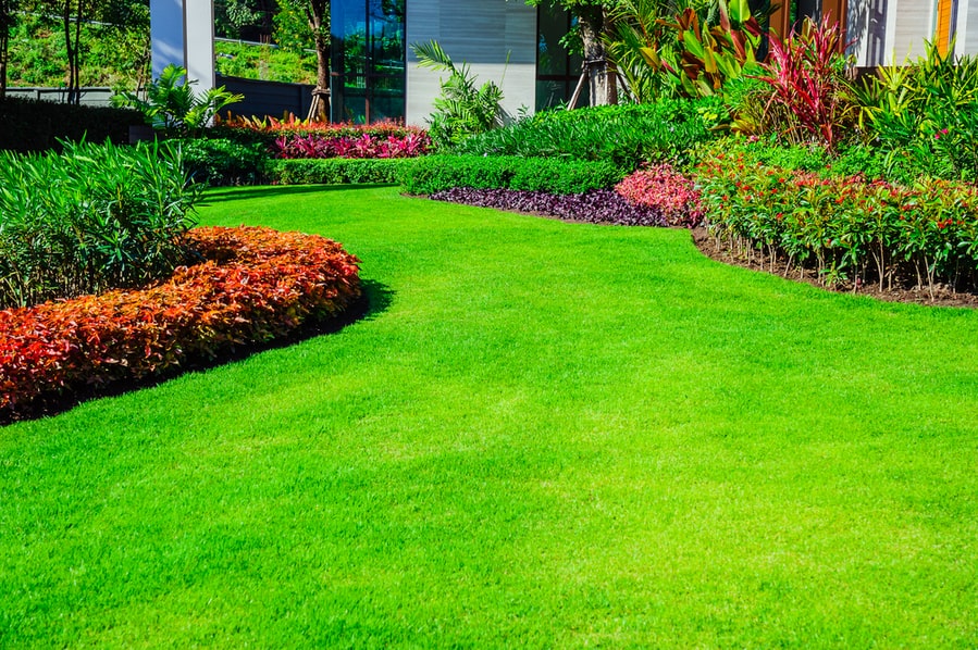 Regularly Maintain Your Landscape