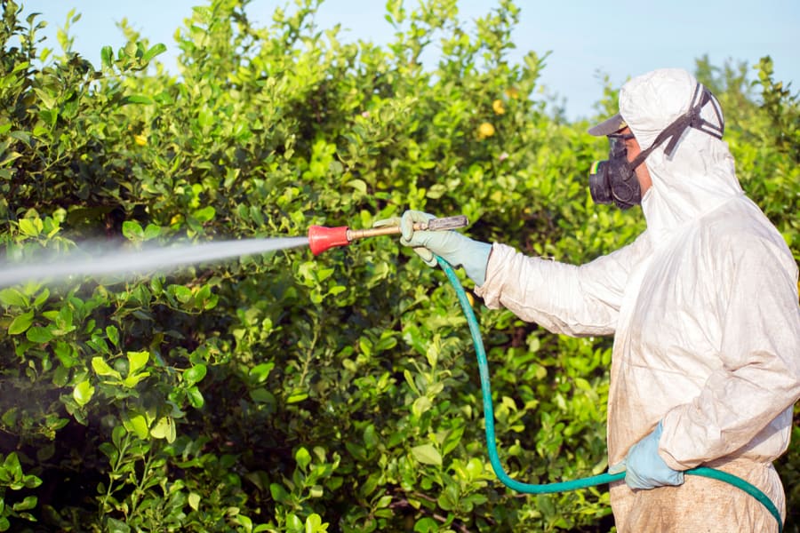 Spray Insecticides