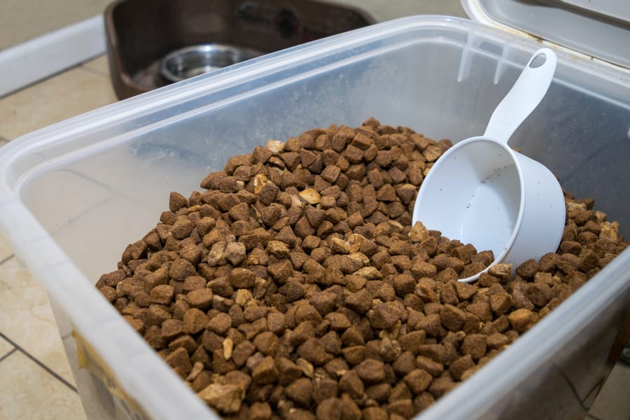 Store Pet Food In Airtight Containers