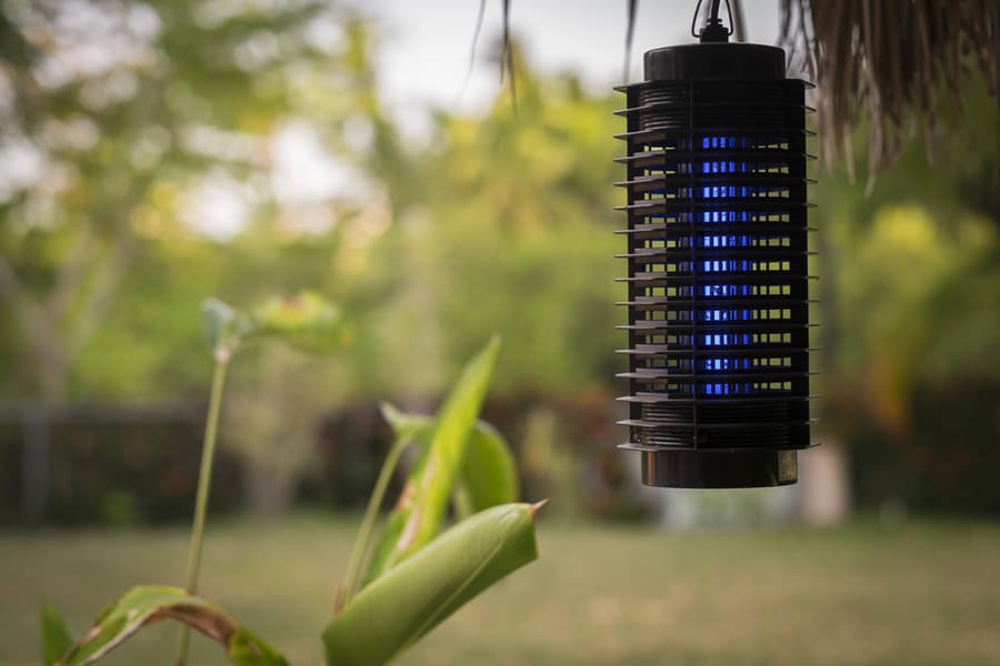 Use A Bug Zapper