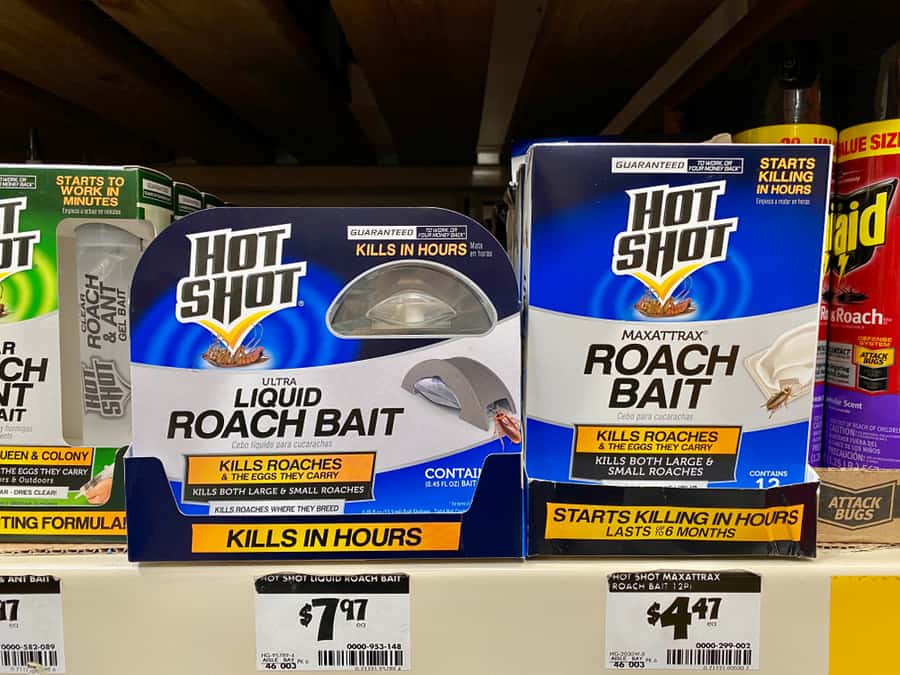 Use Roach Bait