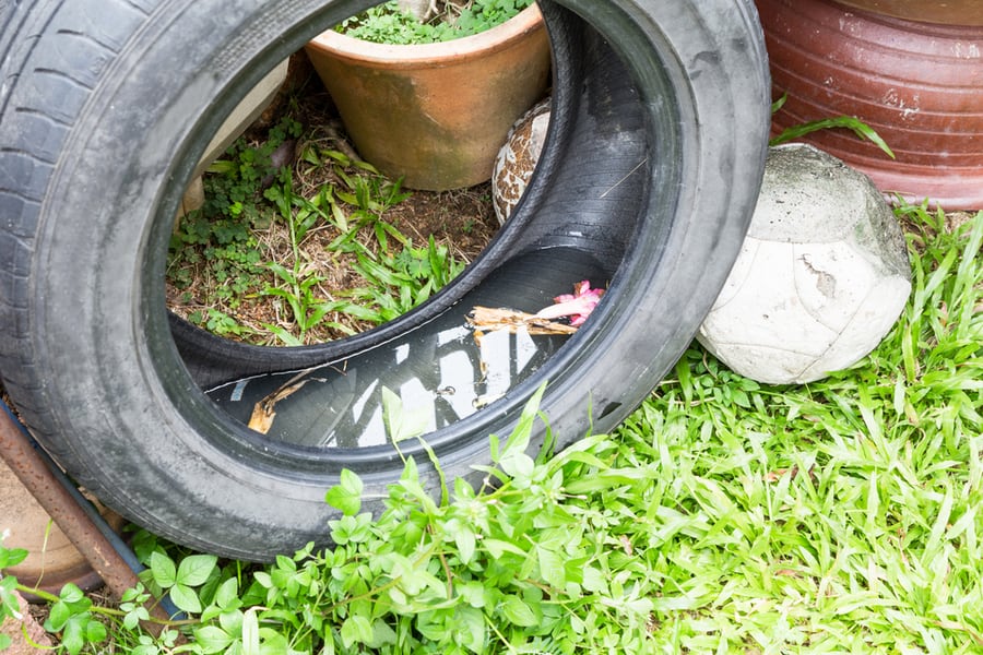 Used Tyres Potentially Store Stagnant Water And Become Mosquitoes Breeding Ground