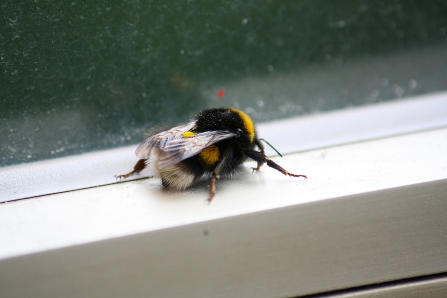 Ways To Keep Bees Away
