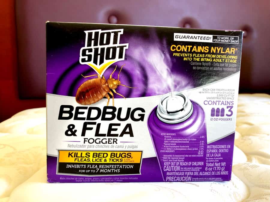 What Is A Flea Spray Treatment?