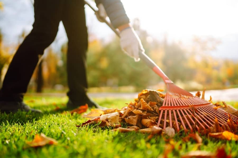 Autumn Clean In Garden Back Yard