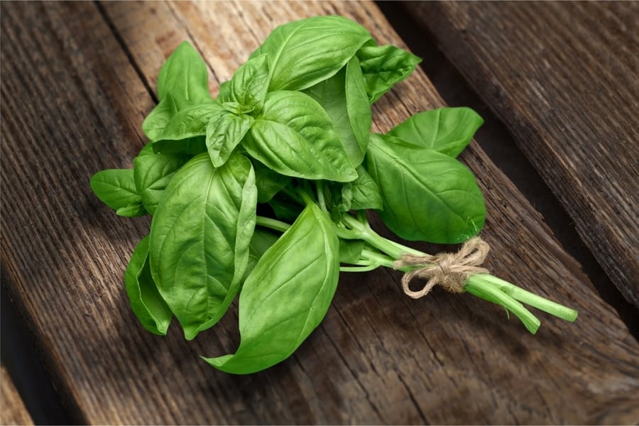 Basil Leaves On Wooden Table