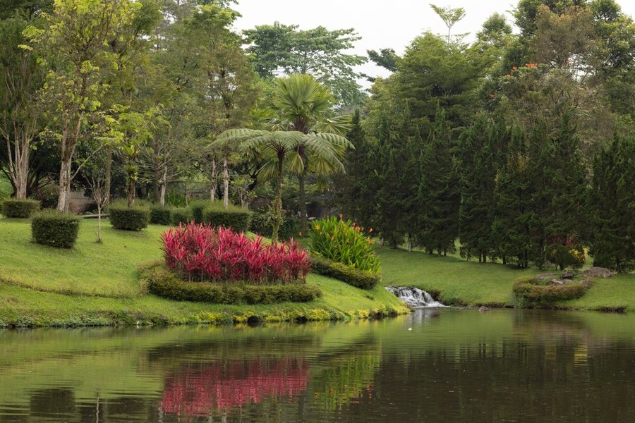 Clean The Pond Surroundings